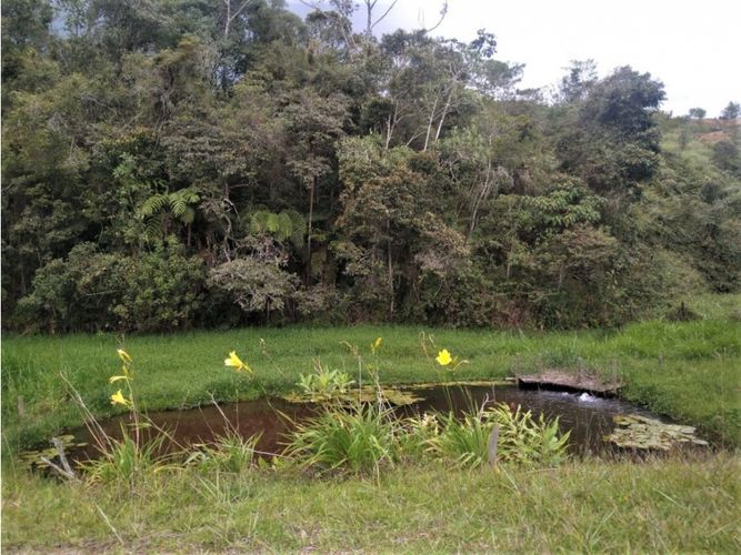 Finca en venta en Cascajo Arriba, Marinilla, 275 m² · foto 19 de 21