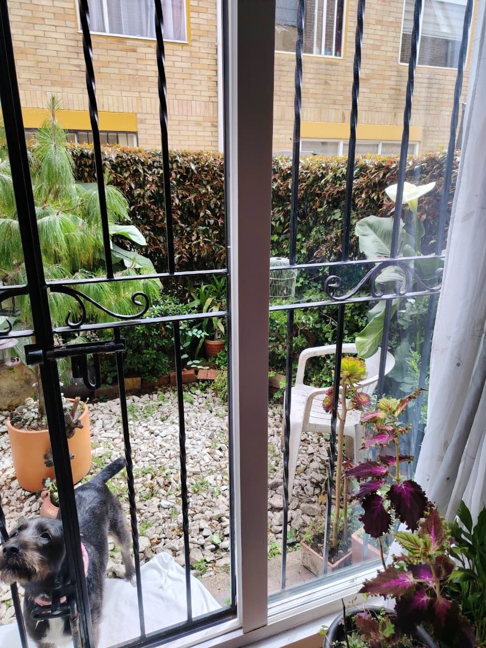 Casa en venta en Centro, Cajicá · foto 17 de 20