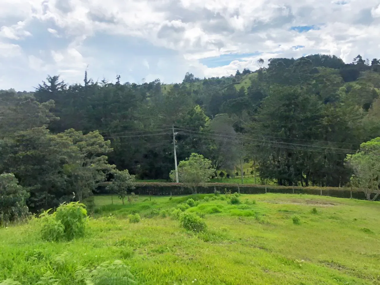 Land in Pantanillo (3654 m²) for Sale