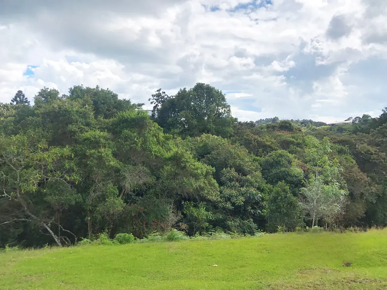 Land in Pantanillo (3654 m²) for Sale - 4