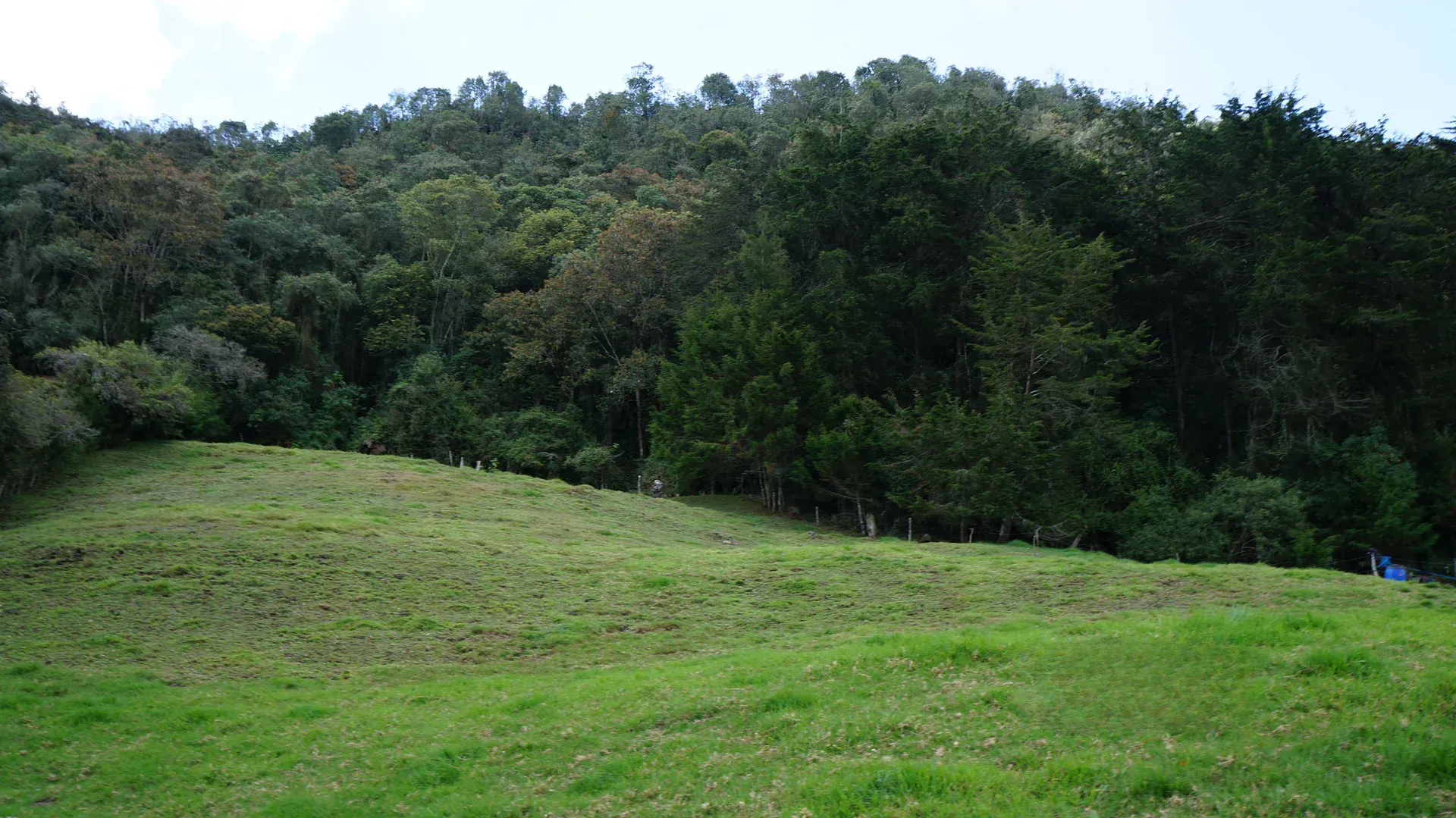 Land in Pontezuela for Sale