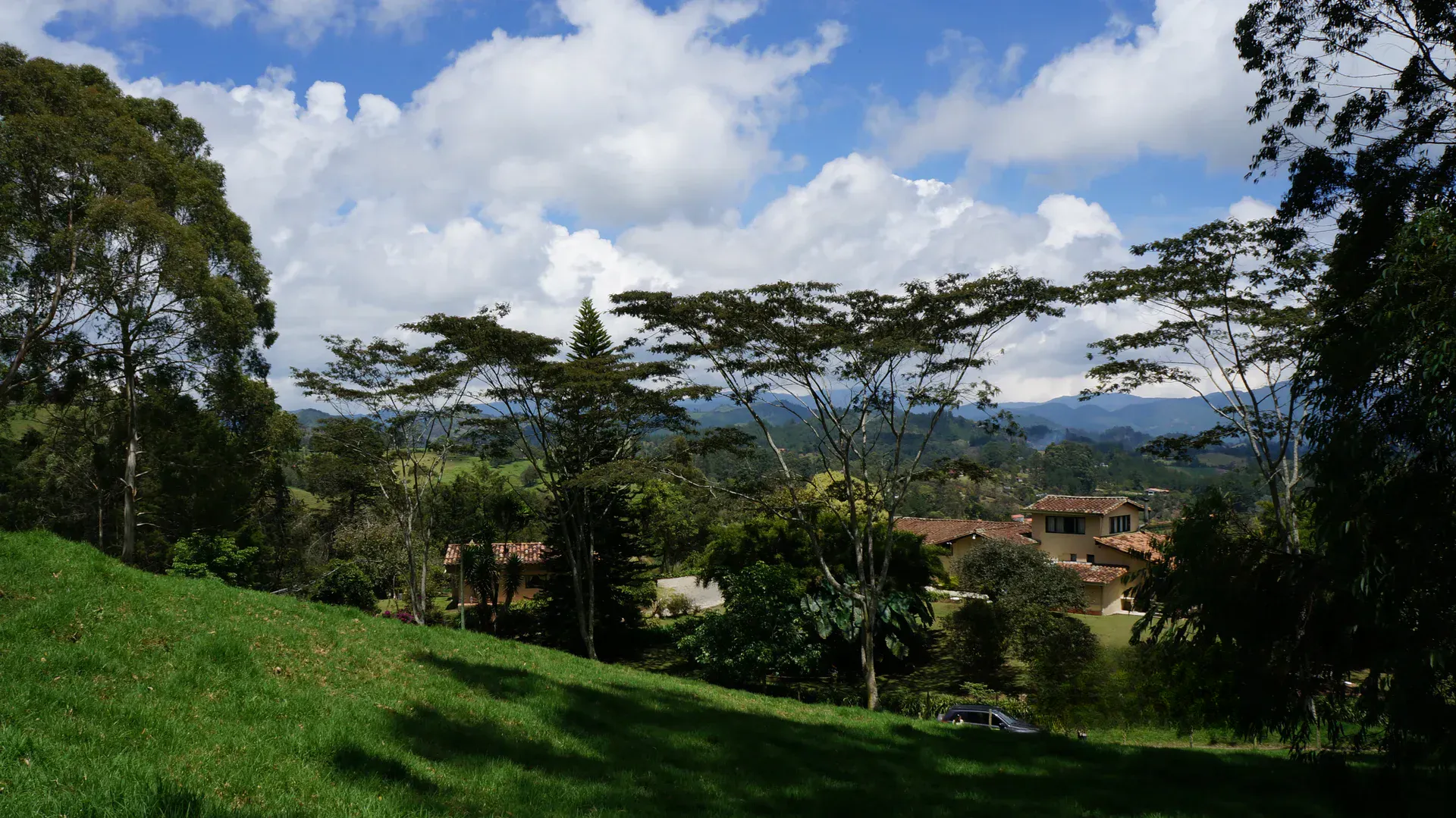 Land in Pontezuela for Sale - 2