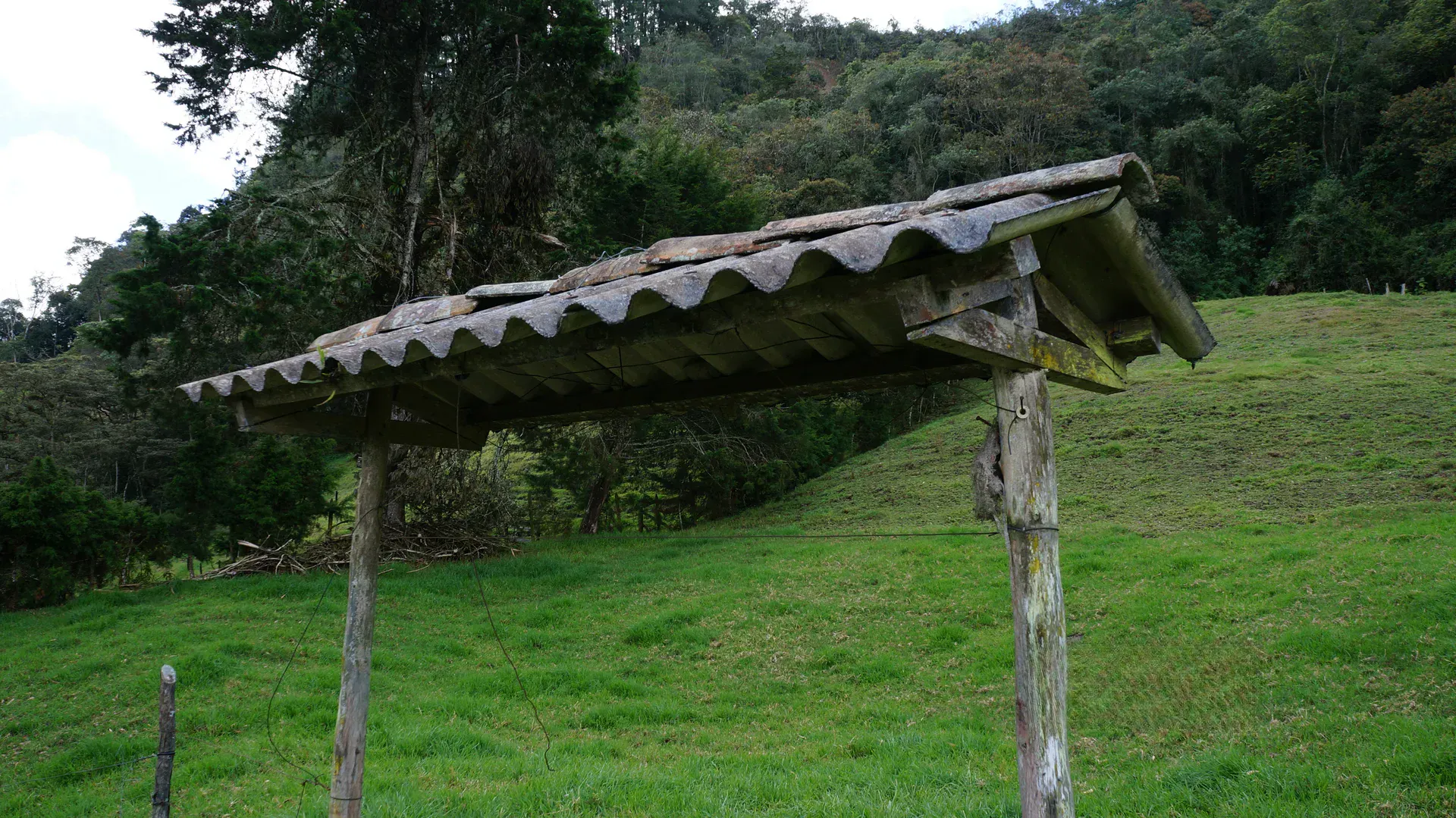 Land in Pontezuela for Sale - 3