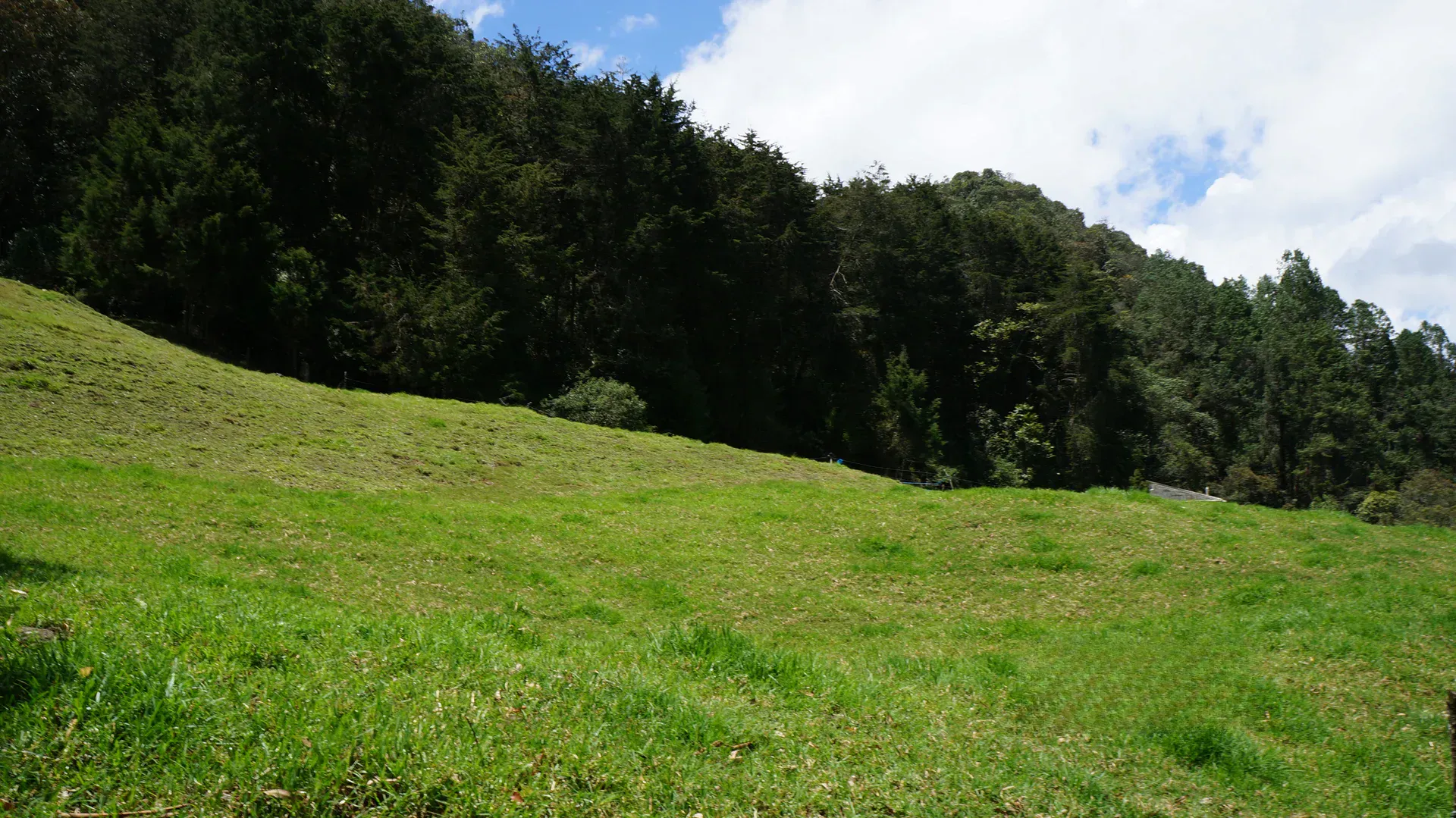 Land in Pontezuela for Sale - 4