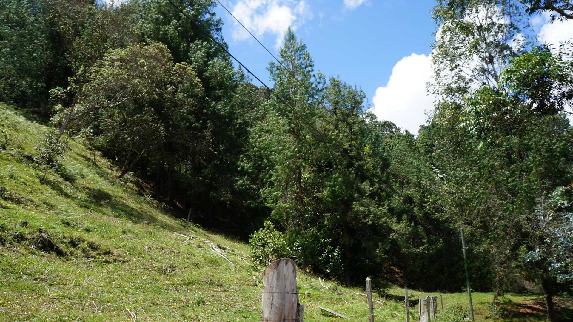 Land in Pontezuela for Sale