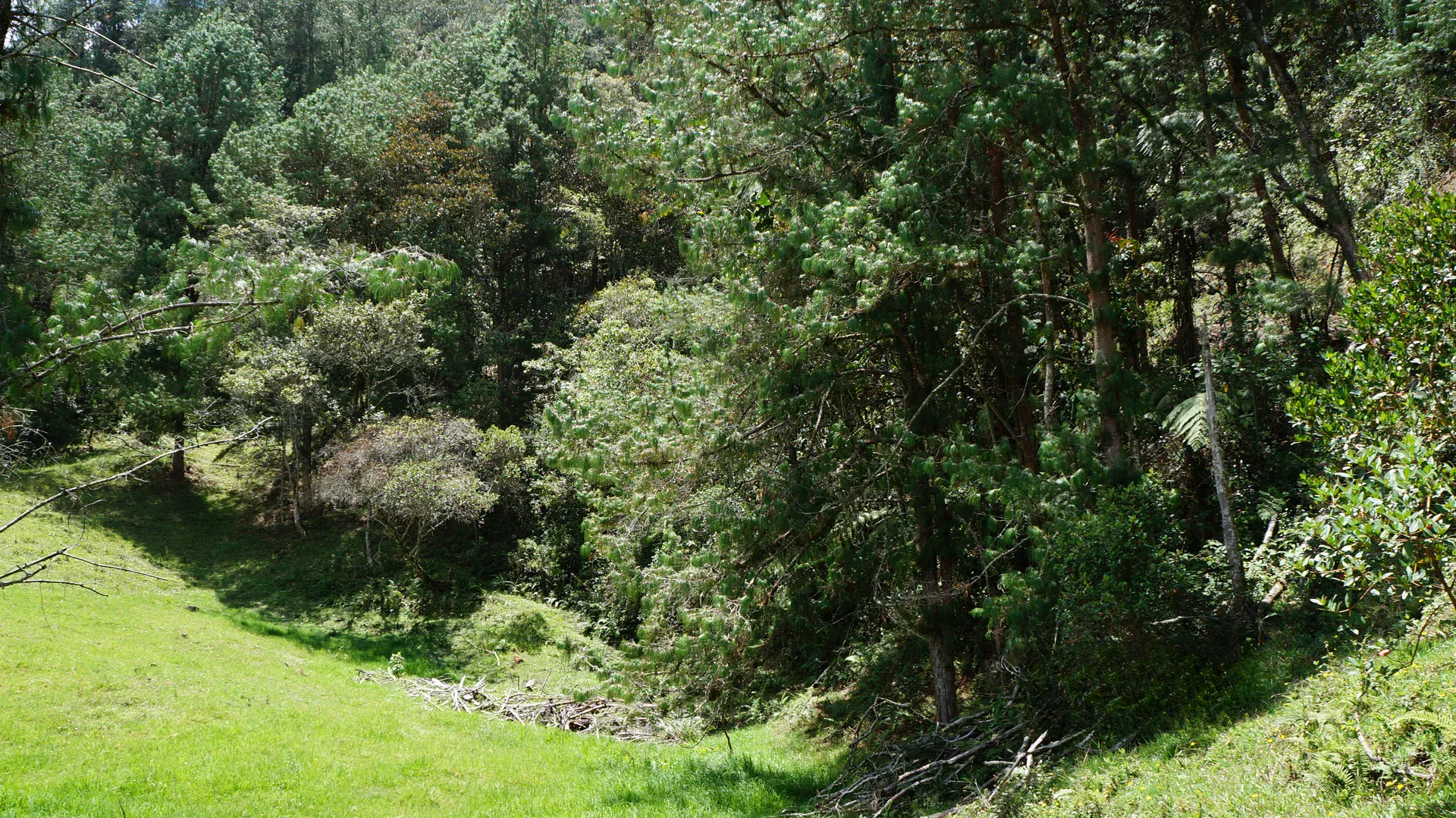 Land in Pontezuela for Sale - 2