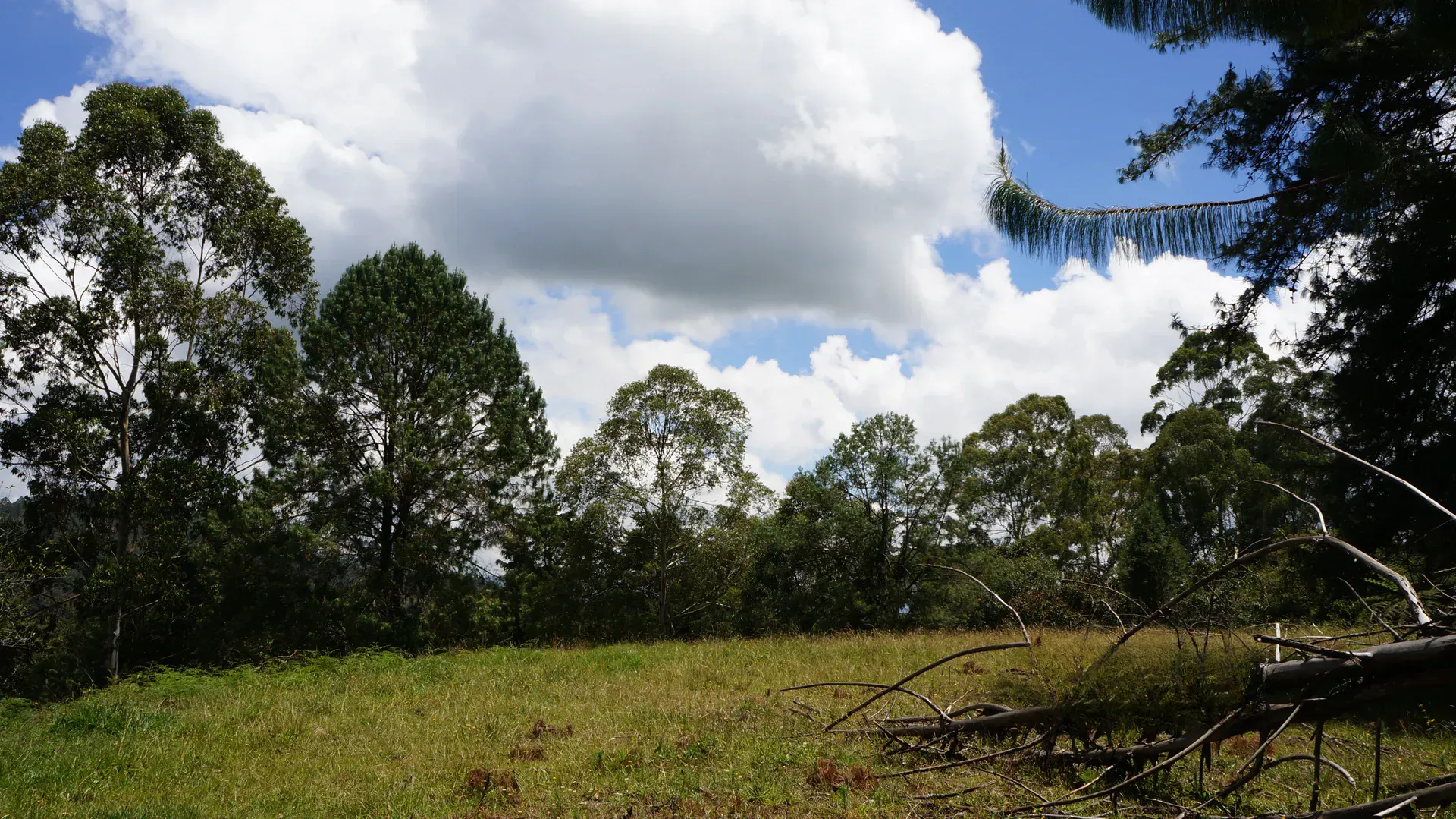 Land in Pontezuela for Sale - 3