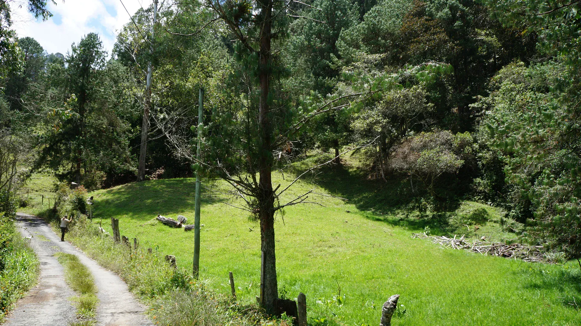 Land in Pontezuela for Sale - 4