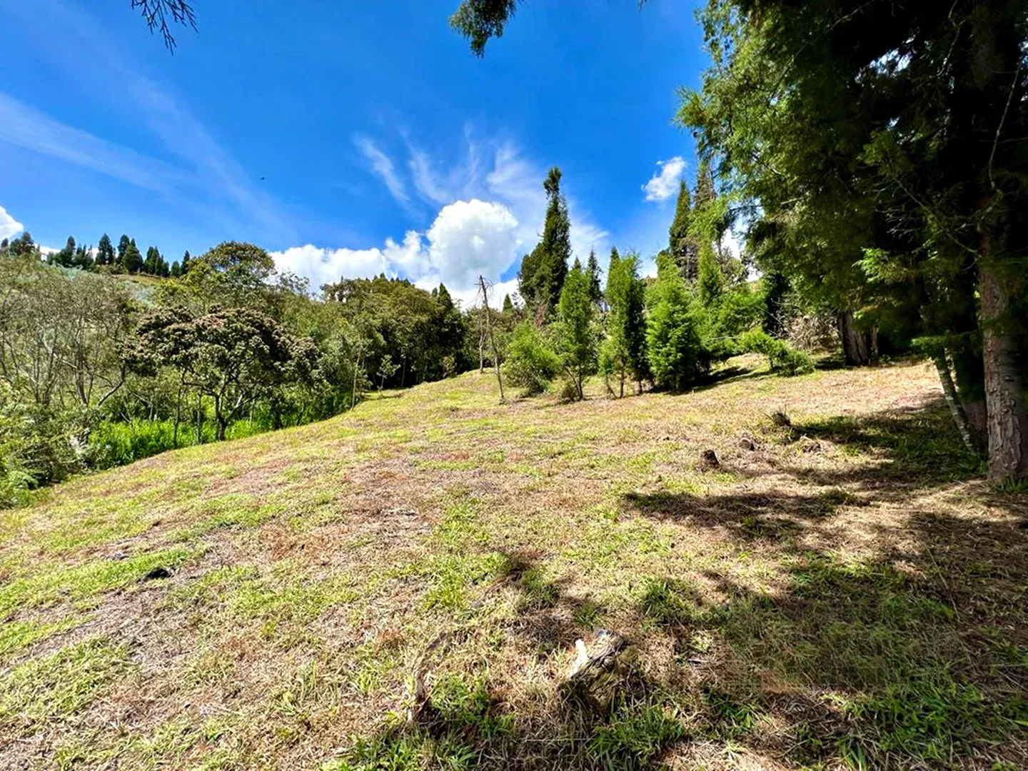 Land in El capiro (4607 m²) for Sale
