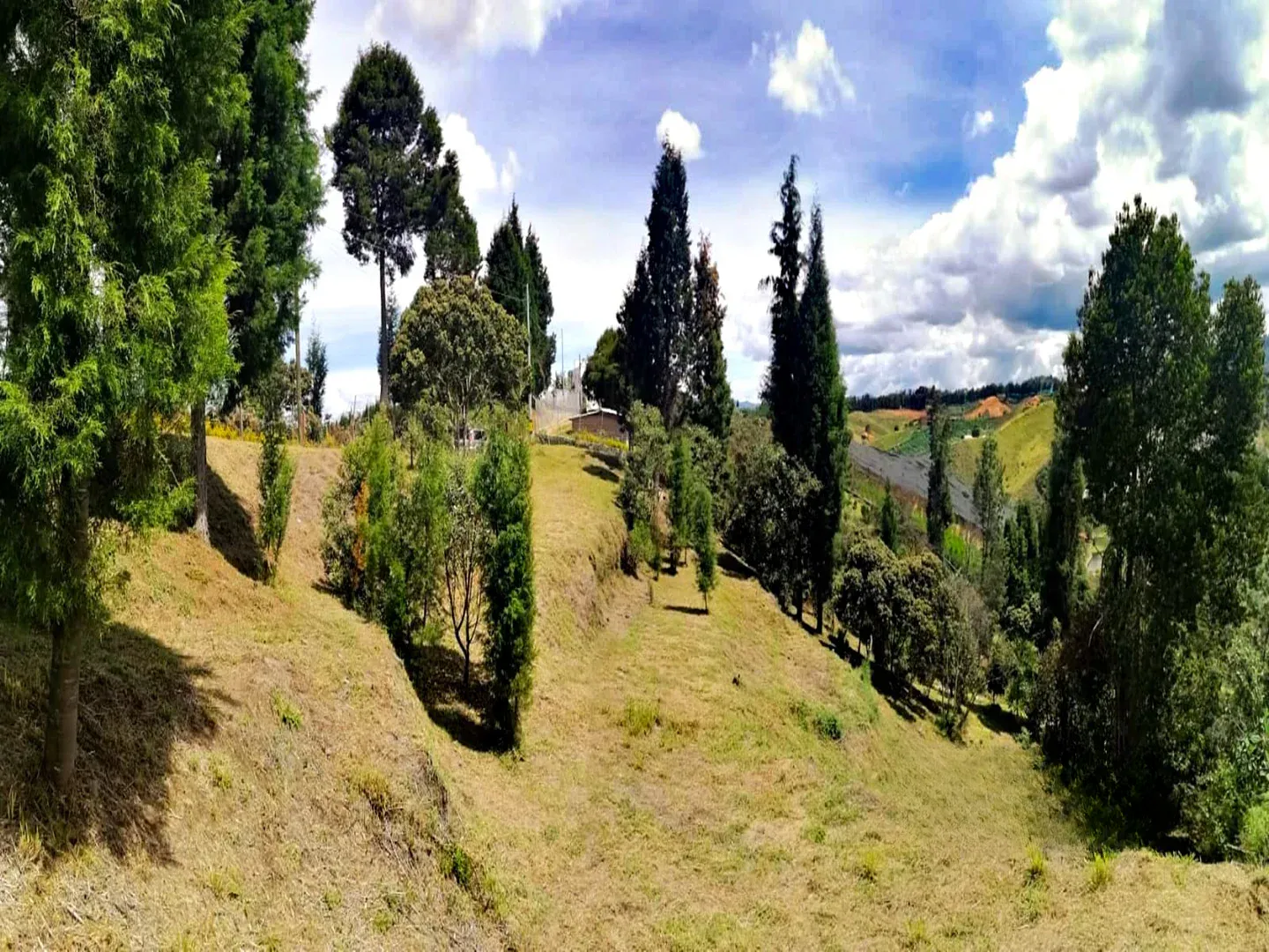 Land in El capiro (4607 m²) for Sale - 2
