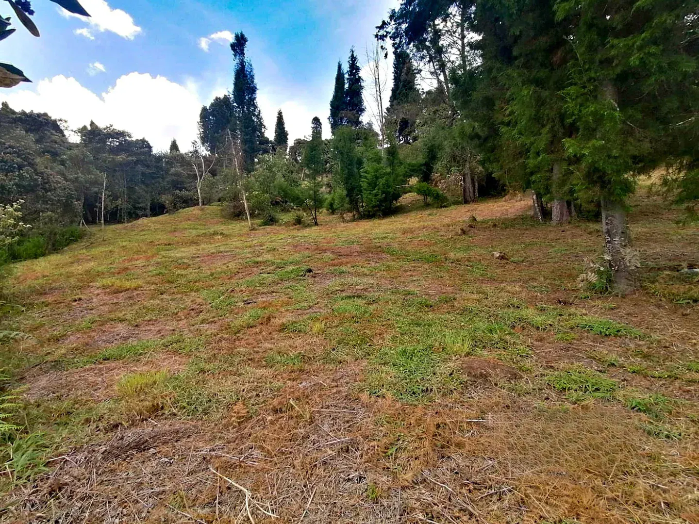 Land in El capiro (4607 m²) for Sale - 3