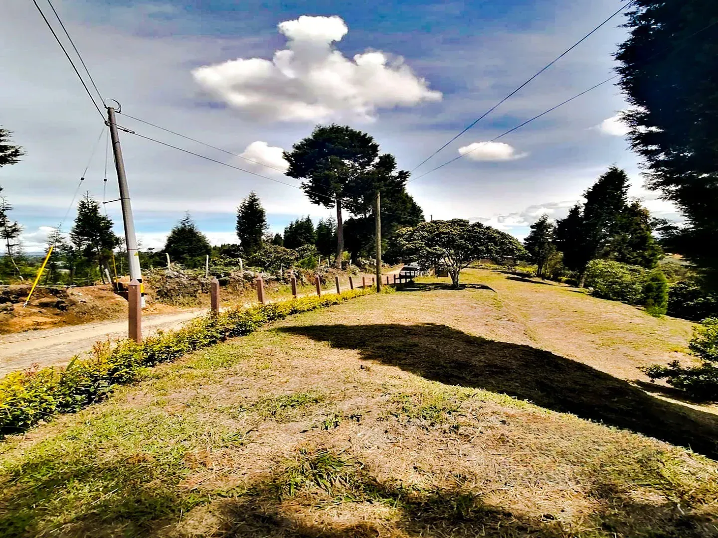 Land in El capiro (4607 m²) for Sale - 4