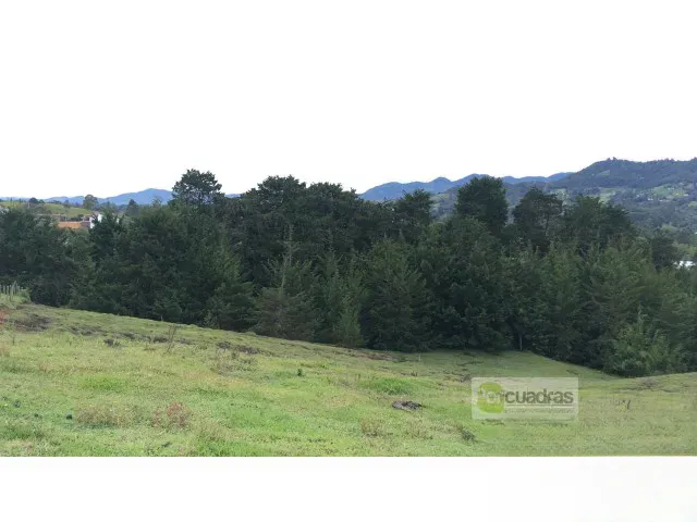 Land in Pontezuela for Sale