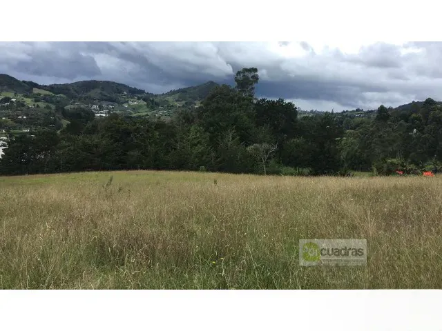 Land in Pontezuela for Sale - 2