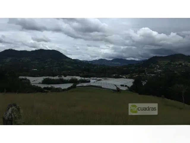 Land in Pontezuela for Sale - 3