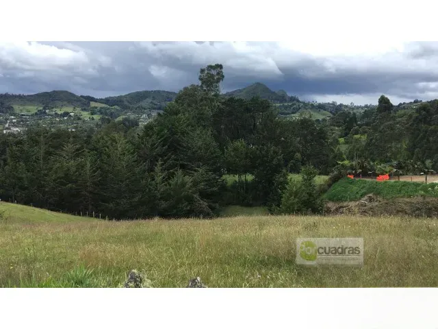 Land in Pontezuela for Sale - 4