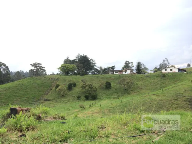 3BR Country House in El capiro for Sale - 4