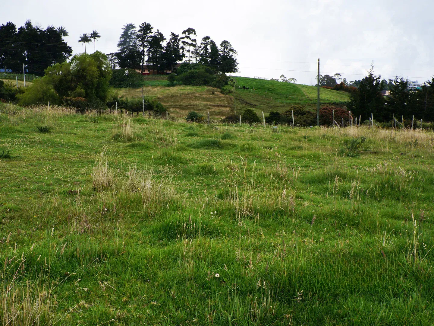 Land in Vía Las Palmas (3500 m²) for Sale