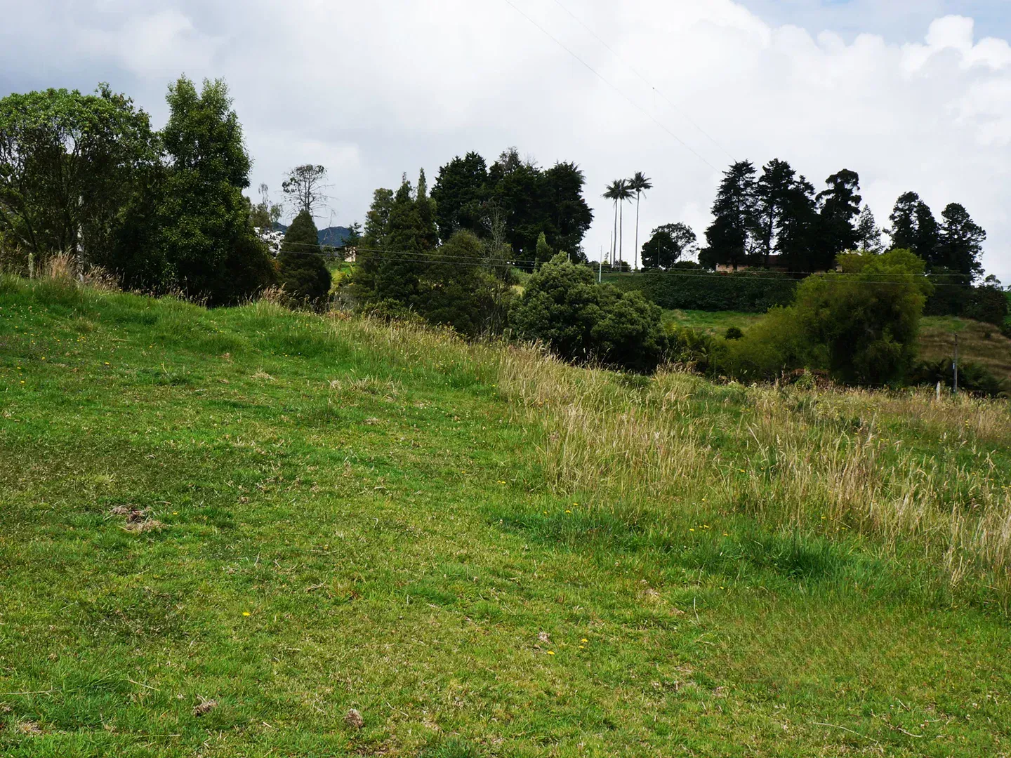 Land in Vía Las Palmas (3500 m²) for Sale - 2