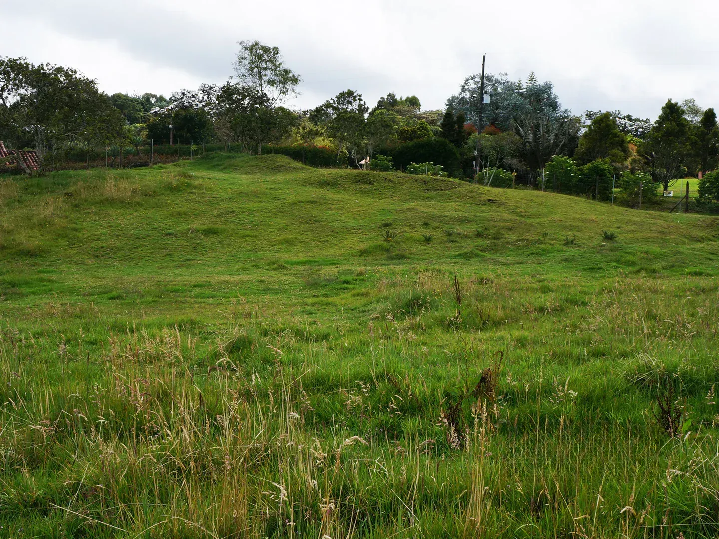 Land in Vía Las Palmas (3500 m²) for Sale - 4