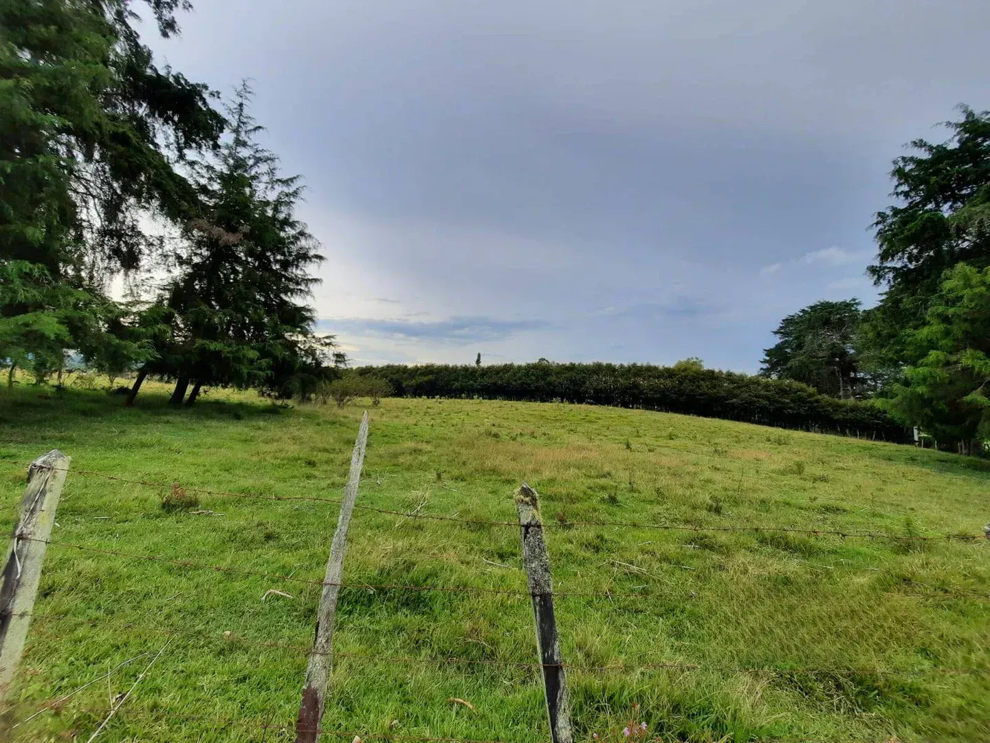 Land in Llano Grande for Sale