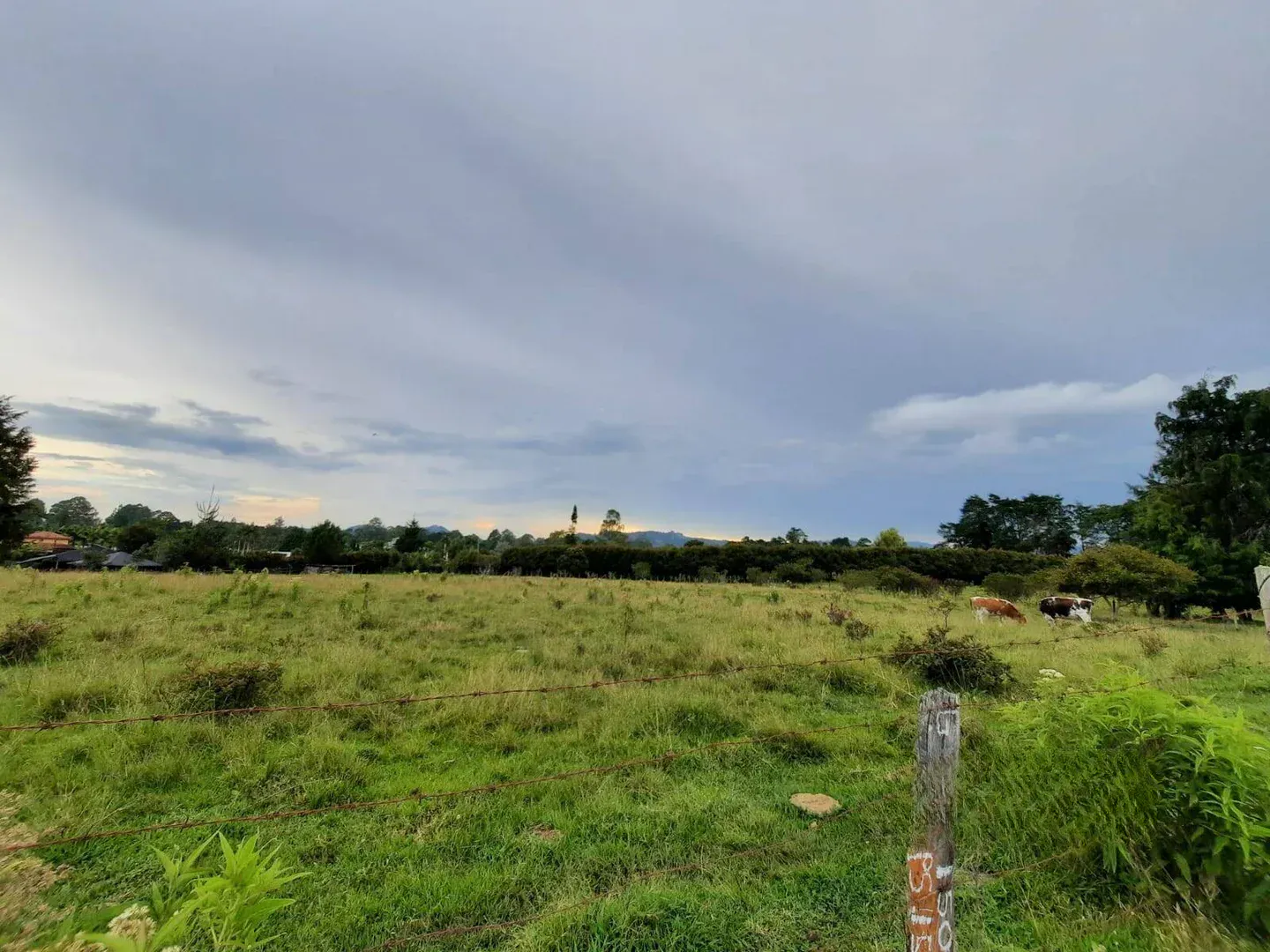 Land in Llano Grande for Sale - 2