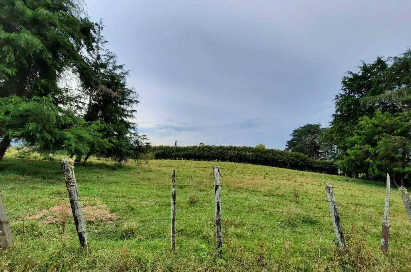 Land in Llano Grande for Sale - 4