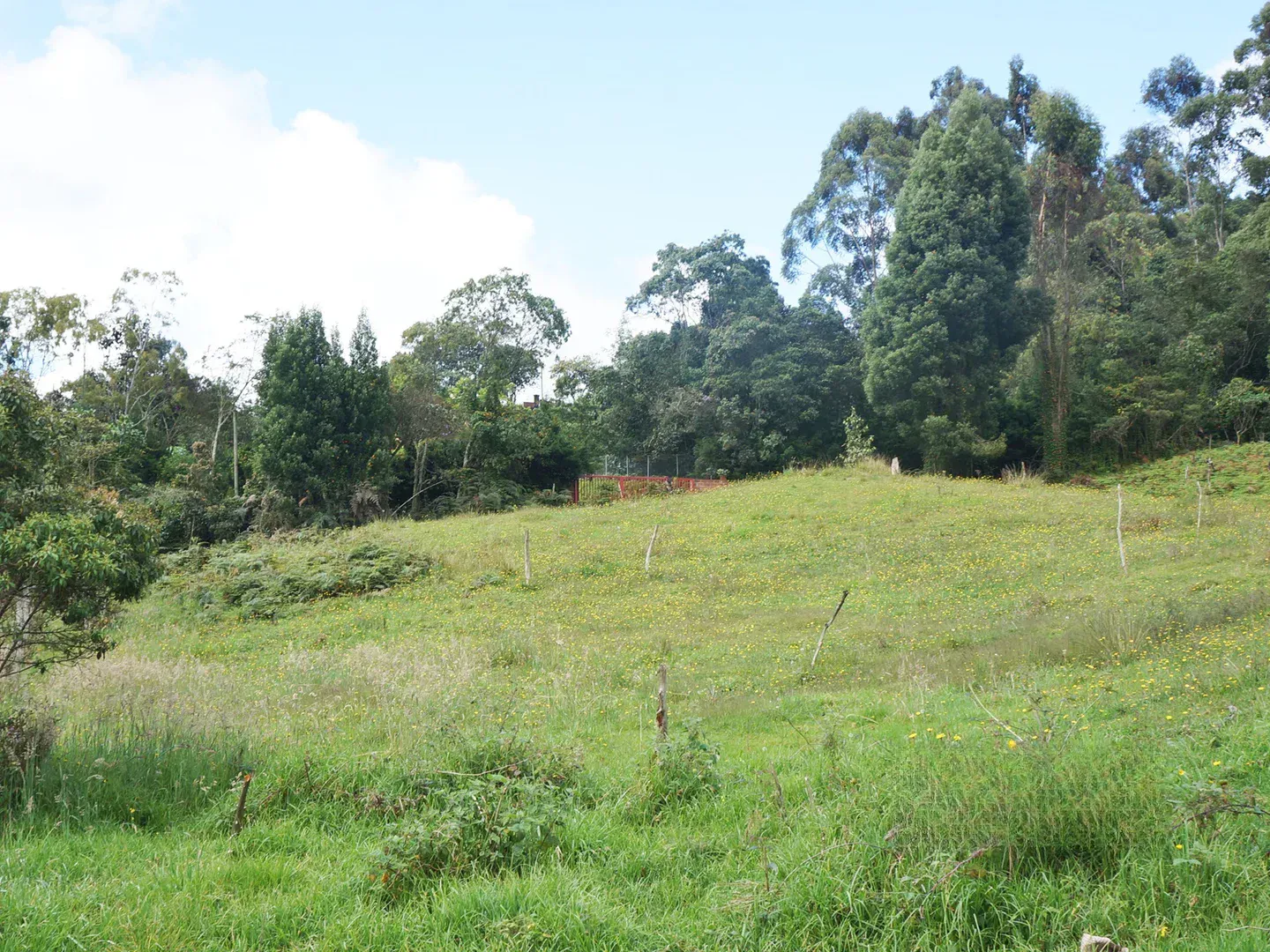 Land in Vía Las Palmas for Sale - 2