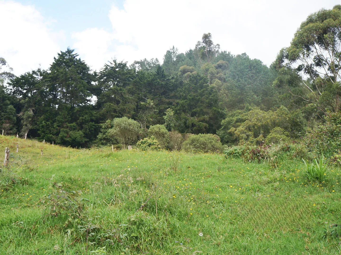 Land in Vía Las Palmas for Sale - 3