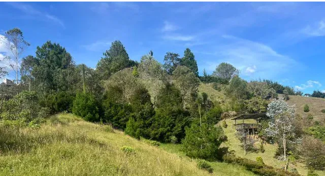 Land in Pantanillo for Sale