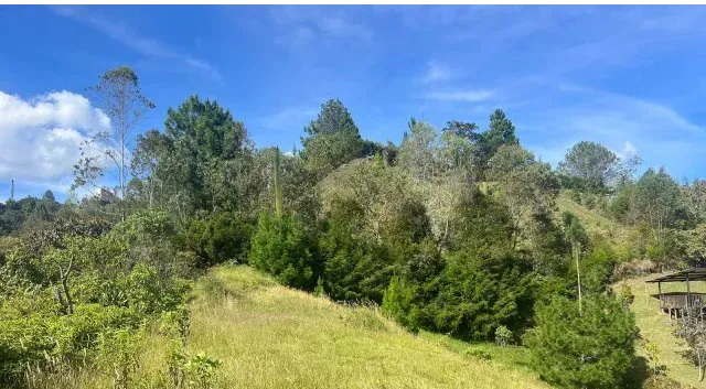 Land in Pantanillo for Sale - 2