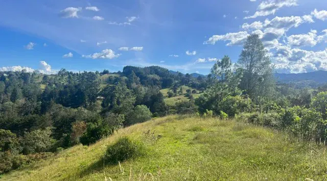 Land in Pantanillo for Sale - 3