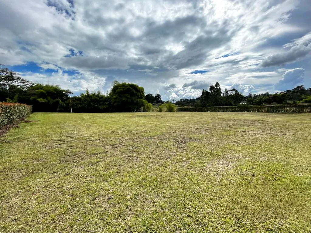 Land in Cabeceras de llanogrande (2500 m²) for Sale - 2
