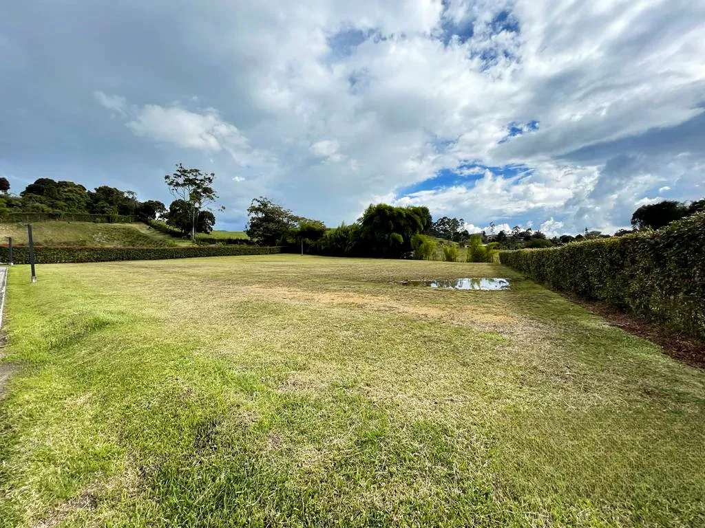 Land in Cabeceras de llanogrande (2500 m²) for Sale - 4