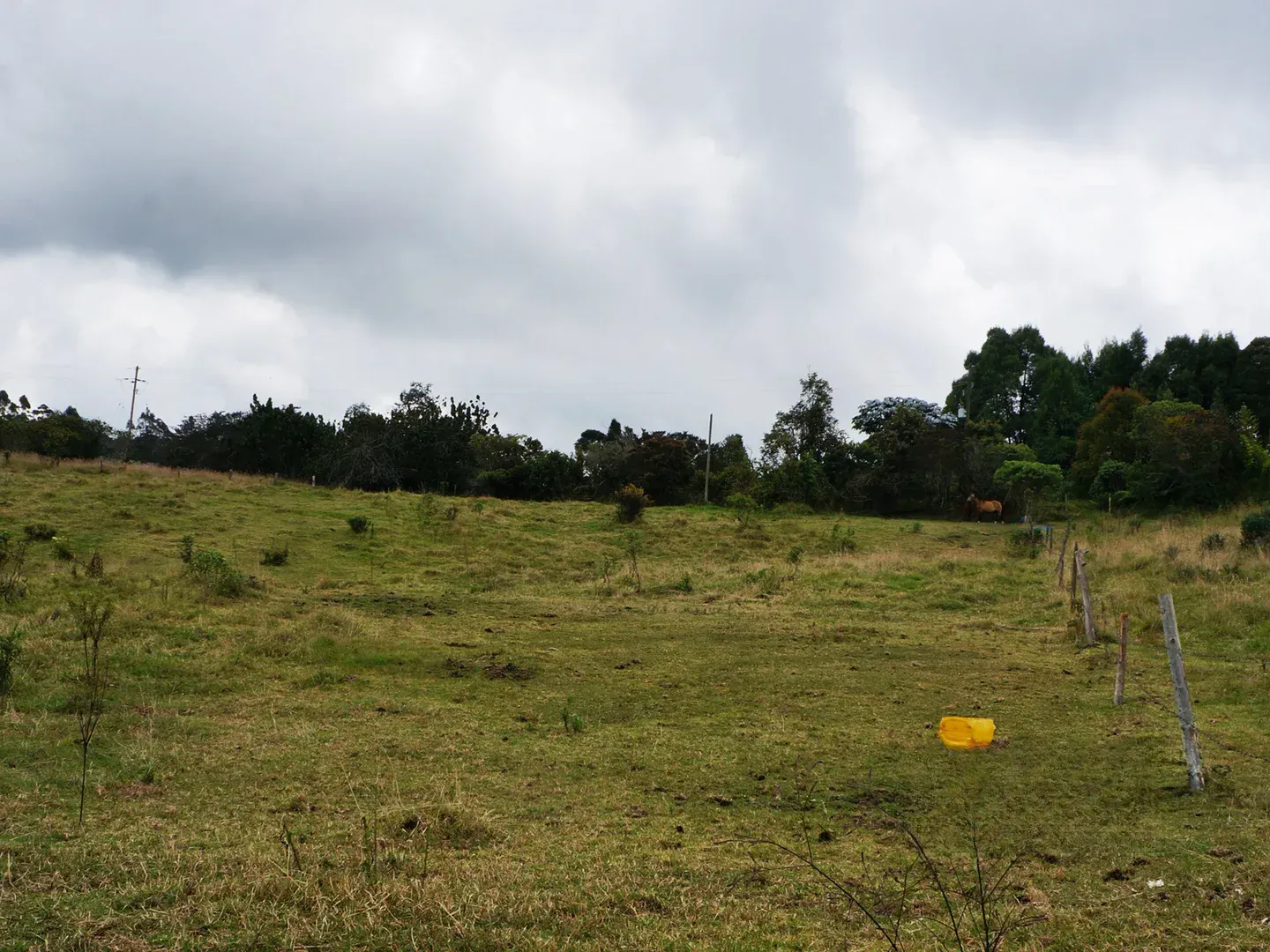 Land in Vía Las Palmas for Sale