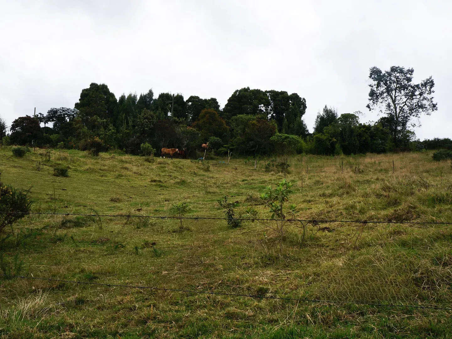 Land in Vía Las Palmas for Sale - 2