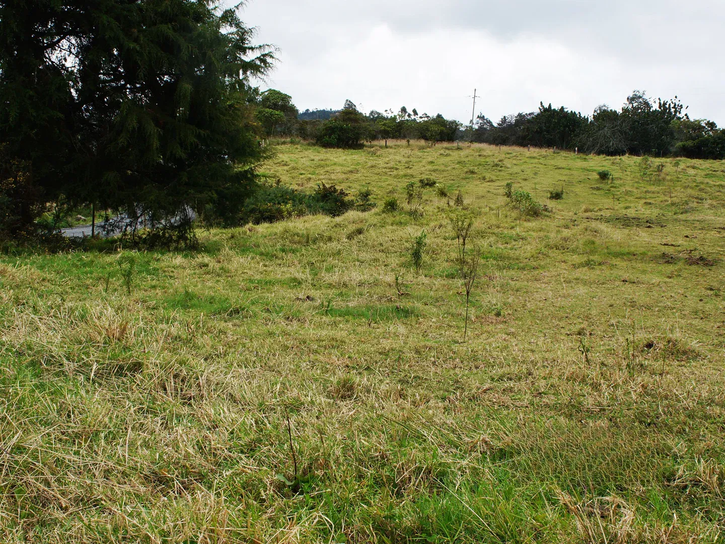 Land in Vía Las Palmas for Sale - 4