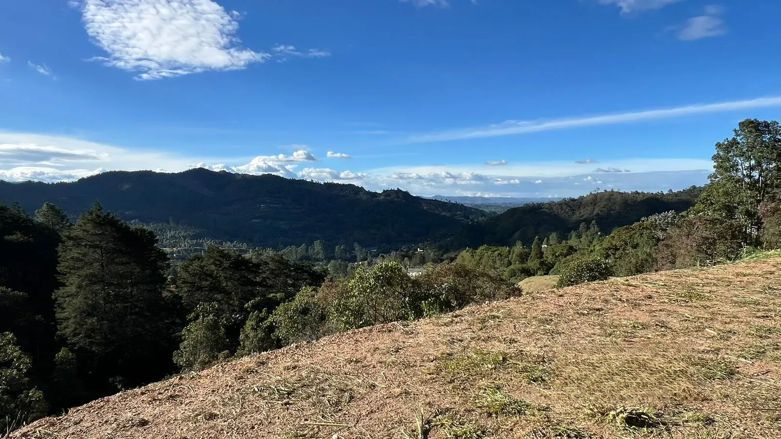 Land in El portento (5000 m²) for Sale - 2