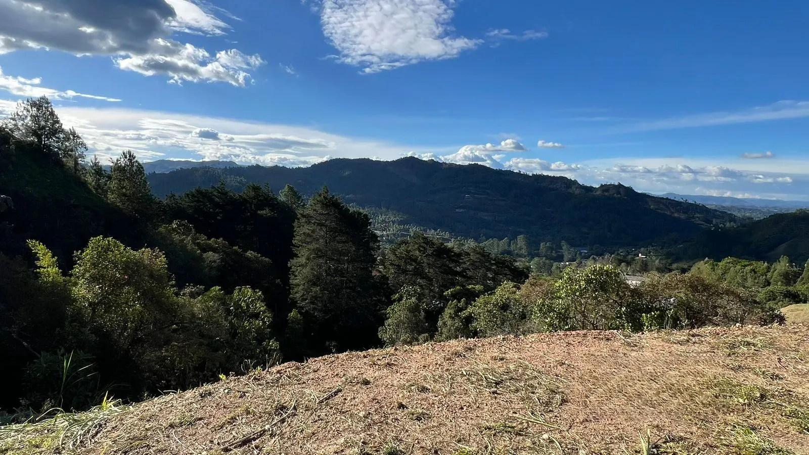 Land in El portento (5000 m²) for Sale - 3