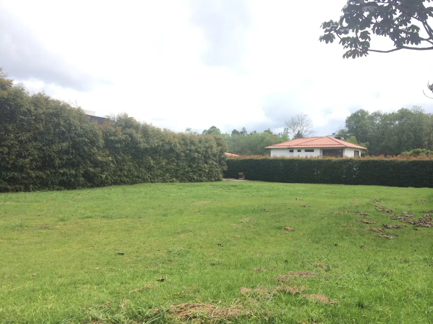 Land in Los salados for Sale