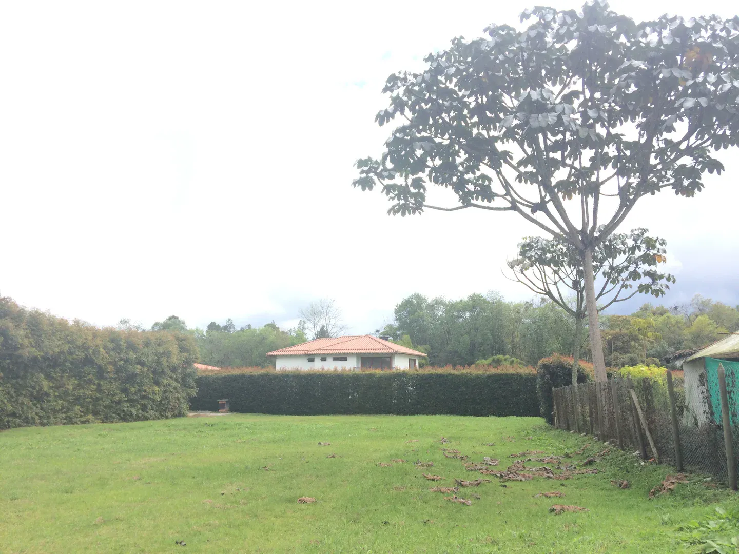 Land in Los salados for Sale - 2