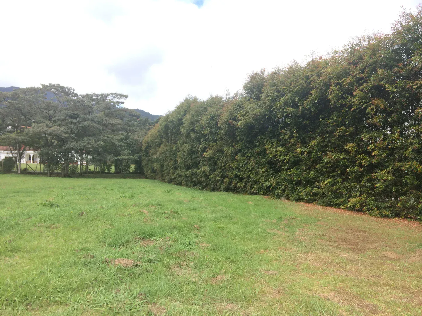 Land in Los salados for Sale - 3