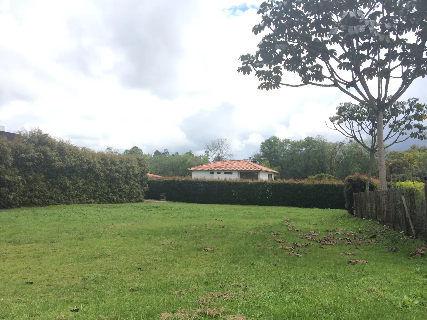 Land in Los salados for Sale - 4