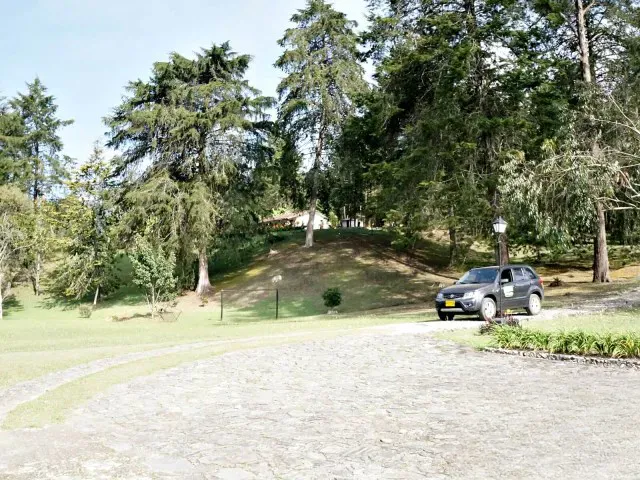 7BR Country House in Vía Las Palmas for Sale - 4