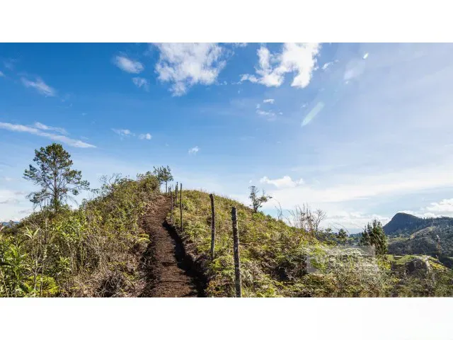 Land in Lejos del nido (3766 m²) for Sale - 4