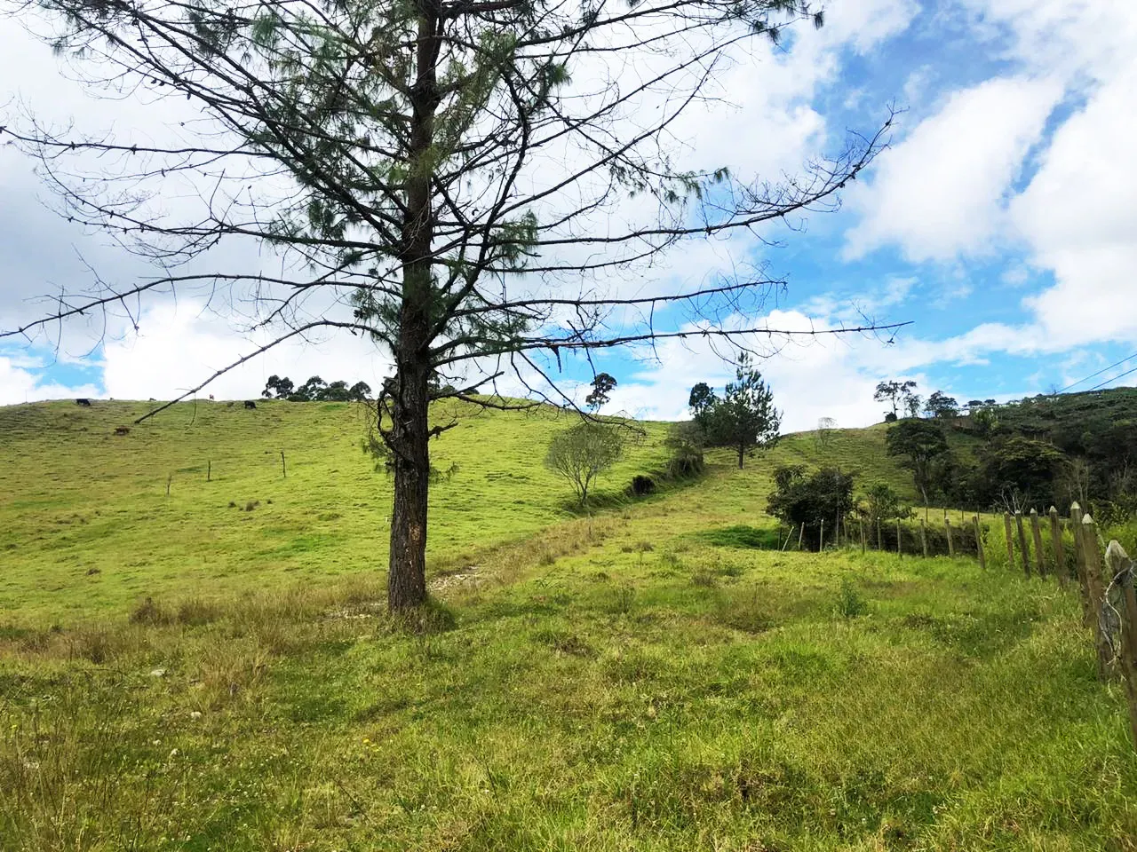 Land in El Retiro for Sale