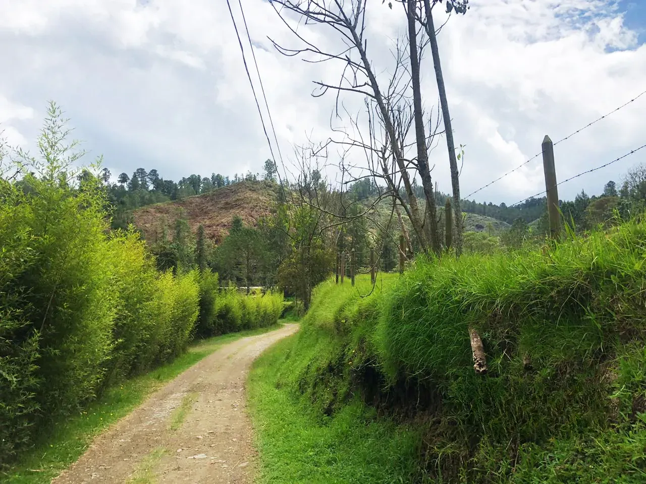 Land in El Retiro for Sale - 2