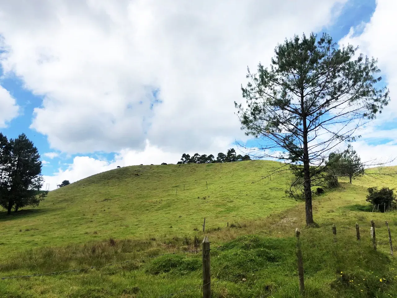 Land in El Retiro for Sale - 3