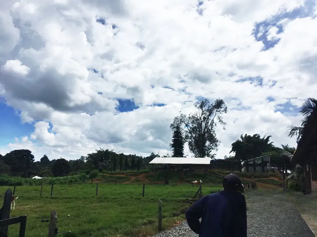 Land in Cabeceras de llanogrande for Sale
