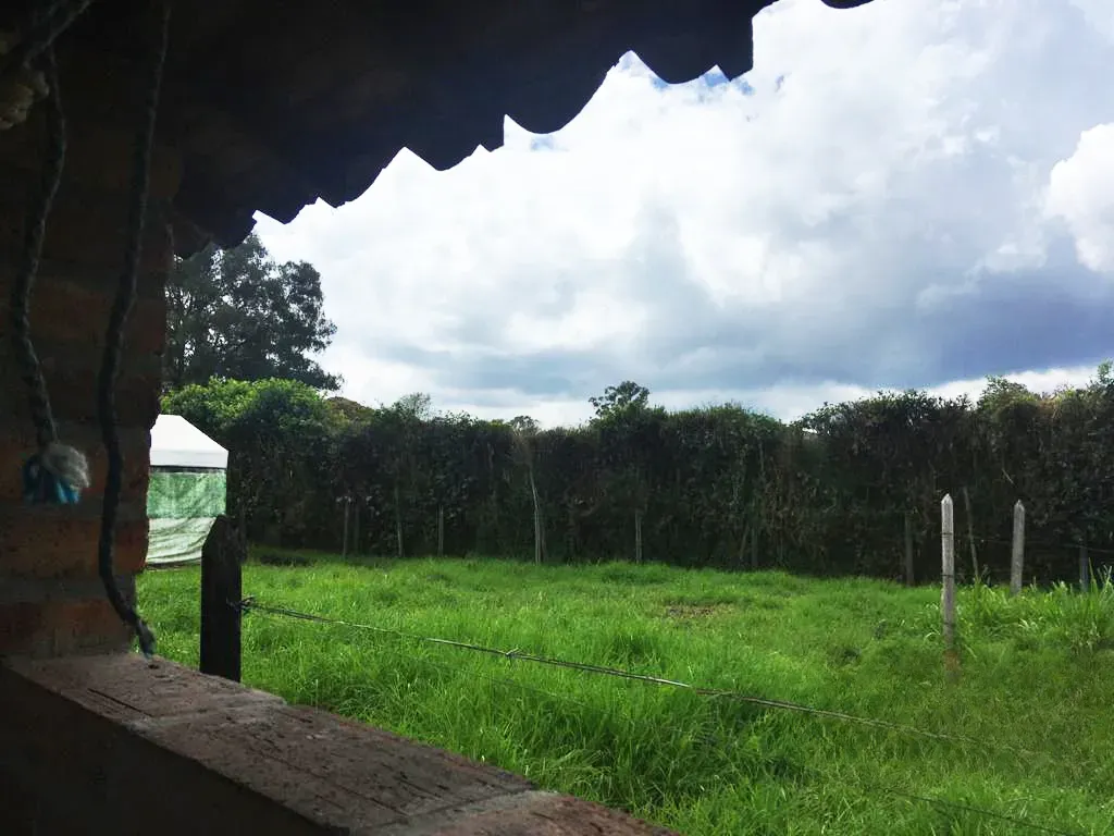 Land in Cabeceras de llanogrande for Sale - 2